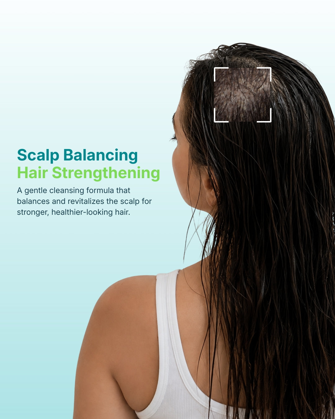 dermOLIV Scalp Revitalizing Shampoo