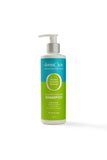 dermOliv Scalp Revitalizing Shampoo